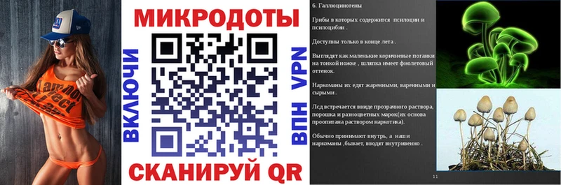Псилоцибиновые грибы Psilocybe  Пугачёв 